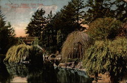 Alvin Lake, Golden Gate Park Postcard