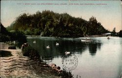 Stowe Lake and Strawberry Hill, Golden State Park Postcard