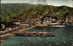 Pleasyre Pier, Avalon, Catalina Island Postcard