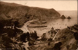 The bay of Avalon Santa Catalina Island, CA Postcard Postcard