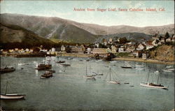 Avalon from Sugar Loaf Postcard