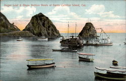 Sugar Loaf & Glass Bottom Boats Santa Catalina Island, CA Postcard Postcard