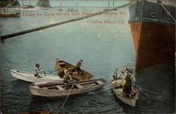 Diving for Coins thrown from Steamer in Avalon Bay Santa Catalina Island, CA Postcard Postcard