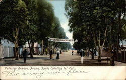 Catalina Avenue, Avalon Postcard