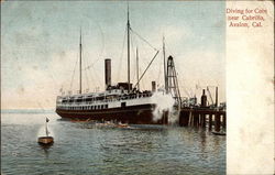 Diving for coin near Cabrillo Avalon, CA Postcard Postcard