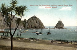 Scene from the Promenade looking towards Sugar Loaf Santa Catalina Island, CA Postcard Postcard