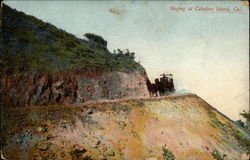 Staging at Catalina Island, Cal Postcard