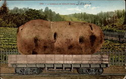 A Carload of Potato from ____________ Postcard