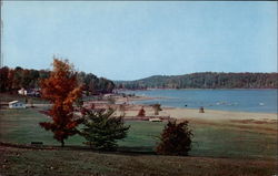 Beechwood Heights - Lake Lemon, Indiana University Bloomington, IN Postcard Postcard