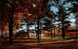 The Music Hall as seen through the Pine Grove - Hope College Holland, MI Postcard Postcard