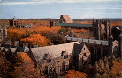 The Cook Law Quadrangle Postcard