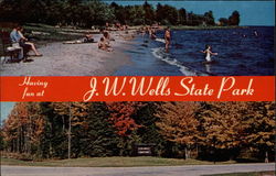 Having fun at J.W. Wells State Park Cedar River, MI Postcard Postcard