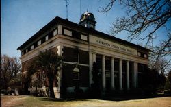 Atkinson County Courthouse Pearson, GA Postcard Postcard