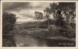 Velvet Velox Print Sample Postcard