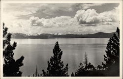 View across Lake Tahoe California Postcard Postcard