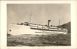 S. S. Avalon Steamers Postcard Postcard