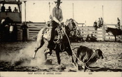 Calf Roping At Annual Rodeo Rodeos Postcard Postcard