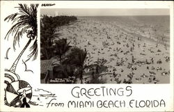 View from Shoreham Hotel Postcard