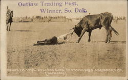 Kenneth Hays' bulldogging, "Frontier Days" Cheyenne, WY Postcard Postcard