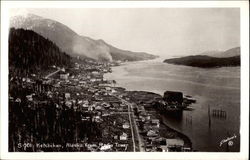 View from Radio Tower Postcard