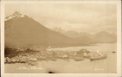 View of Town and Harbor Postcard