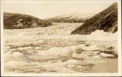 Taku Glacier Postcard