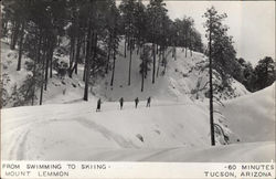 From Swimming to Skiing-Mount Lemmon Tucson, AZ Postcard Postcard