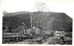 View of Shakes Island Wrangell, AK Postcard Postcard