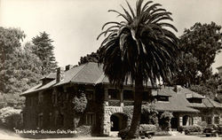 The Lodge - Golden Gate Park Postcard