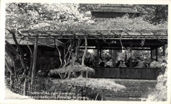 Oriental Tea Garden in Golden Gate Park Postcard