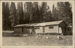 Columbine Lodge Restaurant Bellvue, CO Postcard Postcard