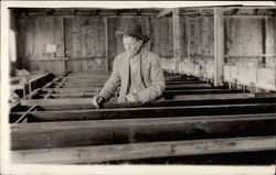 Man working in fish hatchery Postcard