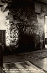 Fireplace made of Petrified Wood and Lava Postcard