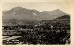 Mt. Lamborn, Walker Paonia, CO Postcard Postcard