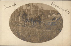 Camp Roosevelt Postcard