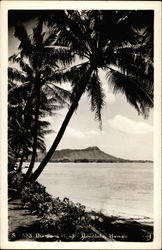 Diamond Head Postcard