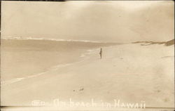 The beach in Hawaii Postcard