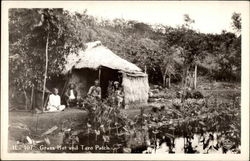 Grass hut and taro patch Hawaii Postcard Postcard