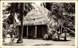 Little grass shack Hawaii Postcard Postcard