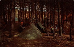 Typical bivouoc scene at Ft. Dix Postcard