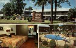 The Springs Motel Postcard