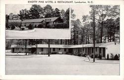 Knotty Pine Motel & Restaurant Postcard