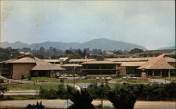 Royal Inn of Monterey Postcard