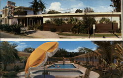 Cavalier Motel St. Petersburg, FL Postcard Postcard