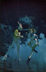 Alice Meets the March Hare Weeki Wachee, FL Postcard Postcard