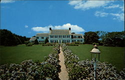 Hydrangeas, Shore Road, Chatham Cape Cod, MA Postcard Postcard