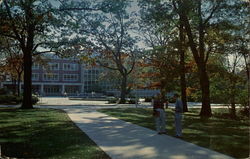 The Library, Michigan State University Postcard