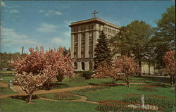 King's College at Cherry Blossom Time Wilkes-Barre, PA Postcard Postcard