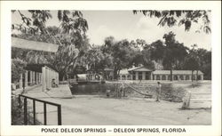 Ponce Deleon Springs De Leon Springs, FL Postcard Postcard