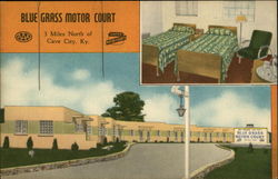 Blue Grass Motor Court Postcard